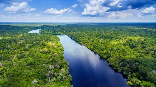 Brasilien: Abendteuertour durch den Amazonas Brasilien: Abendteuertour durch den Amazonas