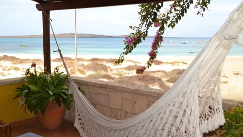 Boa Vista: Atemberaubenden Ausblick genießen Boa Vista: Atemberaubenden Ausblick genießen