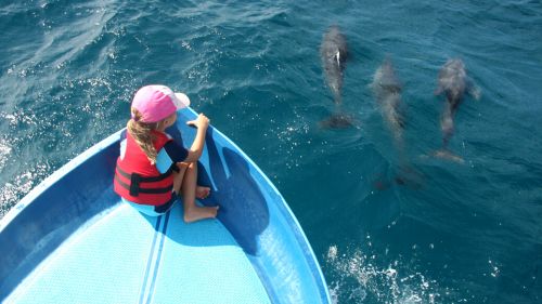 Kappalady: Dolphin- und Whale Watching Kappalady: Dolphin- und Whale Watching