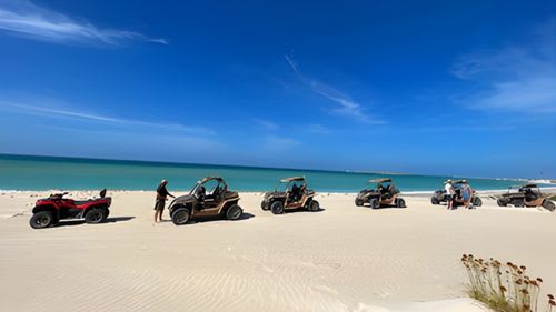 Boa Vista: Ausflüge