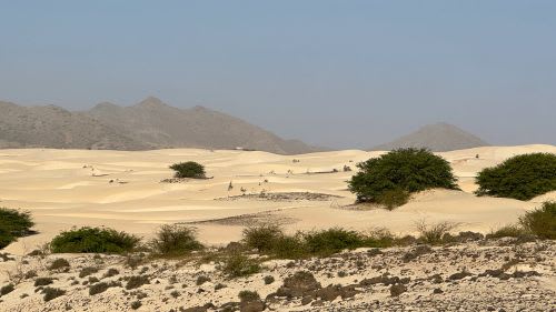 Boa Vista: Die Unterkunft ist gerne bei der Organisation von Ausflügen behilflich Boa Vista: Die Unterkunft ist gerne bei der Organisation von Ausflügen behilflich