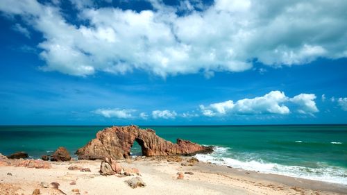 Ilha do Guajiru: Die Unterkunft organisiert Ilha do Guajiru: Die Unterkunft organisiert