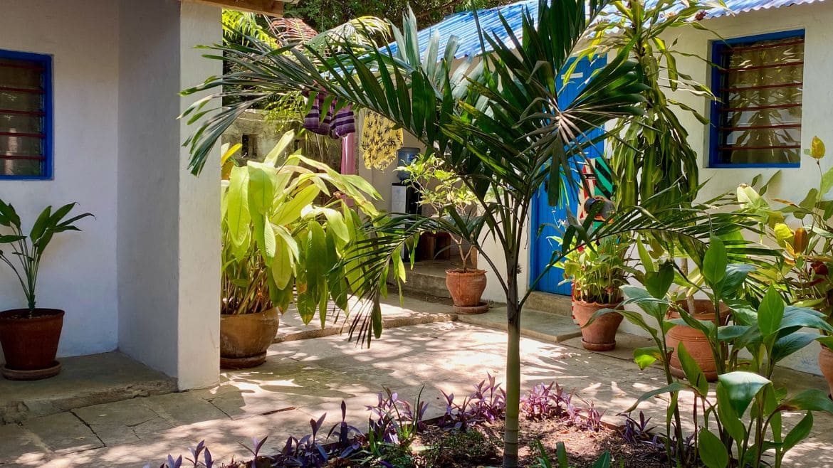 Kilifi: Außenbereich der Surfer Economy Zimmer Kilifi: Außenbereich der Surfer Economy Zimmer