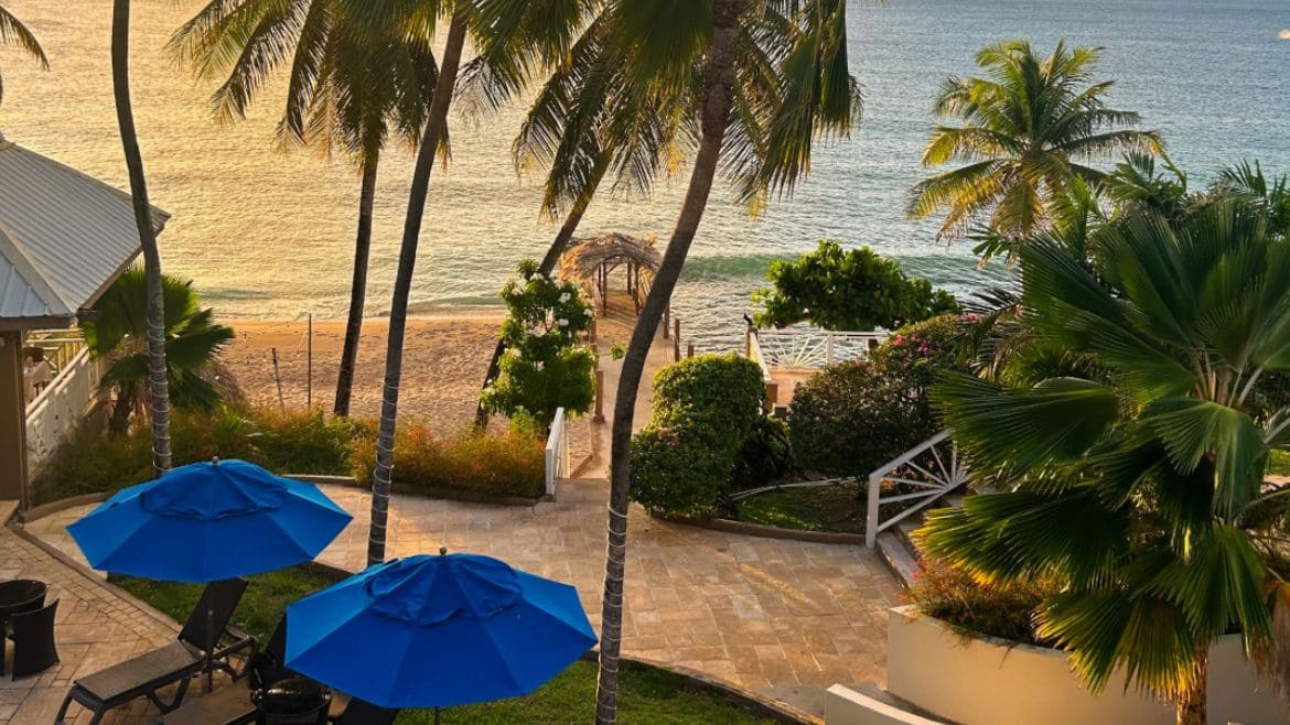Tobago: Weg zum Strandbereich Tobago: Weg zum Strandbereich