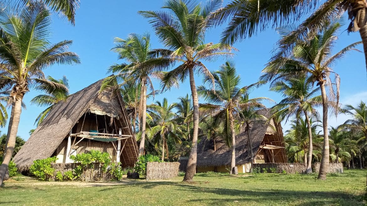Kappalady: Die Eco Surf Cabanas