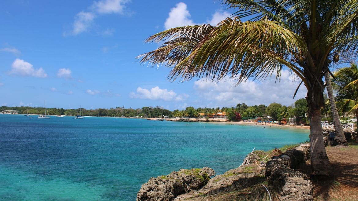 Tobago: Toller Ausblick mit atemberaubenden Wasserfarben Tobago: Toller Ausblick mit atemberaubenden Wasserfarben