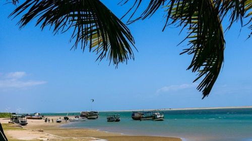 Ilha do Guajiru: Boots-Ausflüge Ilha do Guajiru: Boots-Ausflüge