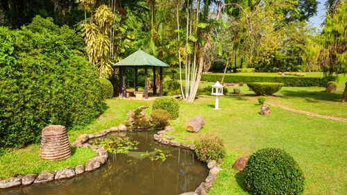 Sri Lanka: Peradeniya, ein wunderbarer botanischer Garten Sri Lanka: Peradeniya, ein wunderbarer botanischer Garten
