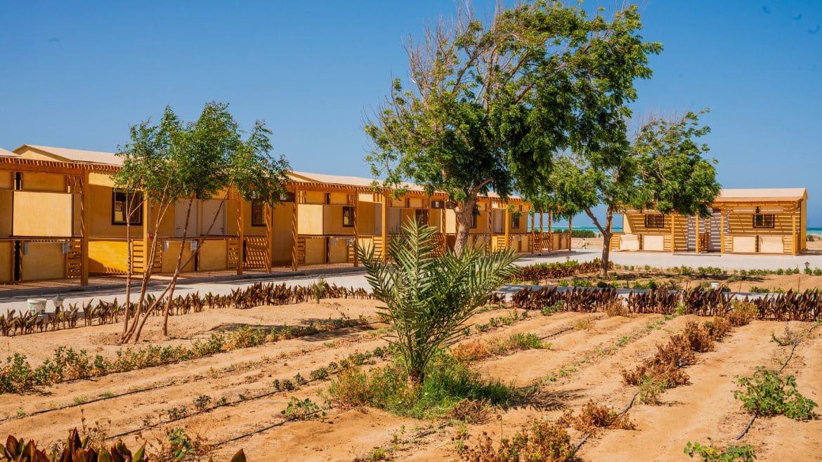 Hamata: Kite Camp Hamata mit toller Gartenanlage