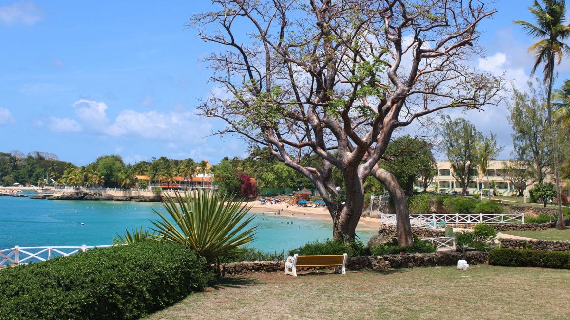 Tobago: Entspannen und einen schönen Ausblick genießen Tobago: Entspannen und einen schönen Ausblick genießen