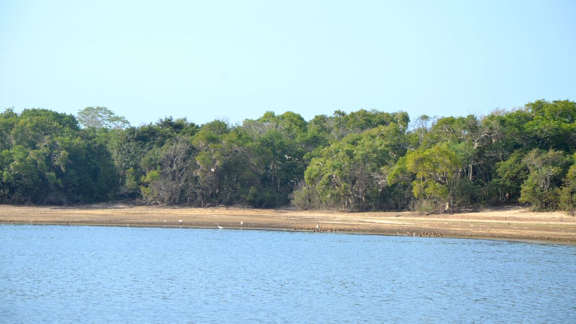 Sri Lanka: Der Wilpattu Nationalpark liegt an der Westküste Sri Lankas