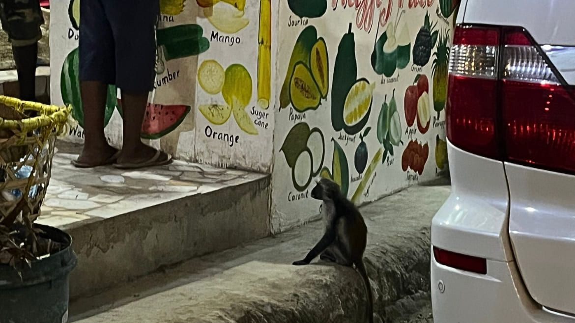 Die Kleinen dürfen natürlich auch nicht fehlen Die Kleinen dürfen natürlich auch nicht fehlen