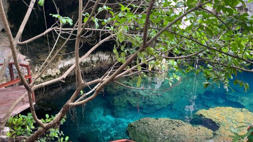 Sansibar: Die Maalum Grotte Sansibar: Die Maalum Grotte
