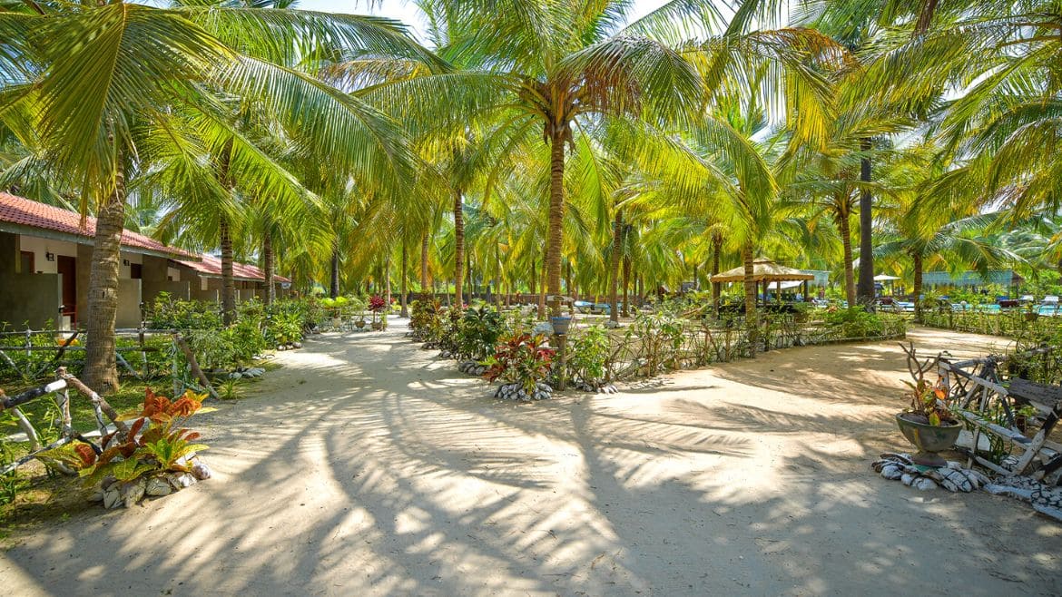 Kalpitiya: Die Palmen Bungalows bieten eine tolle Umgebung