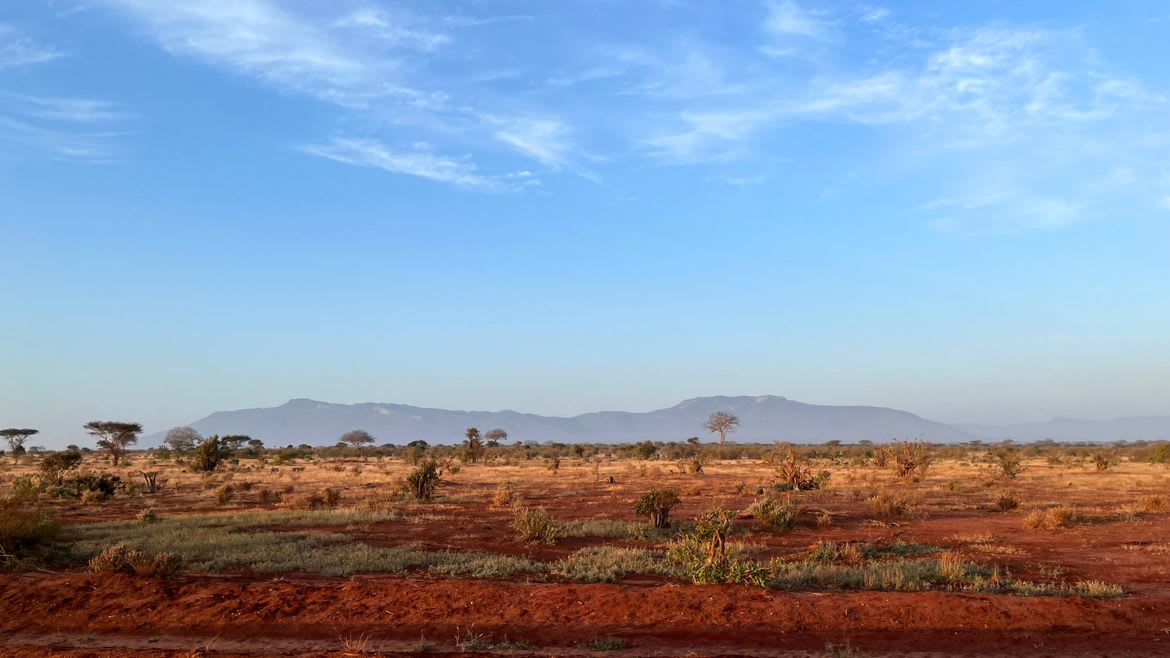 Kenia: Die rote Lateriterde im Tsavo Nationalpark bietet ein tolles Landschaftsbild