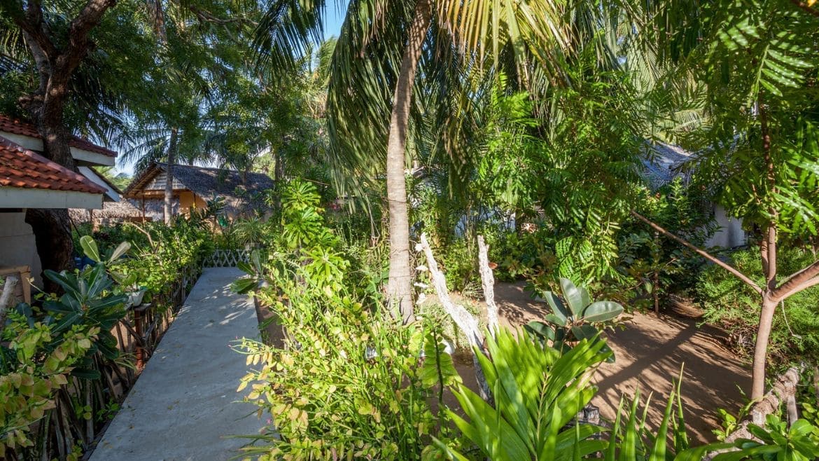 Kalpitiya: Die Surf Cabanas sind umgeben von vielen wunderbaren Pflanzen Kalpitiya: Die Surf Cabanas sind umgeben von vielen wunderbaren Pflanzen