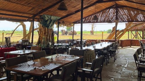 Kenia: Elefanten direkt am Wasserloch beobachten