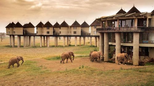 Kenia: Elefanten direkt an der Lodge