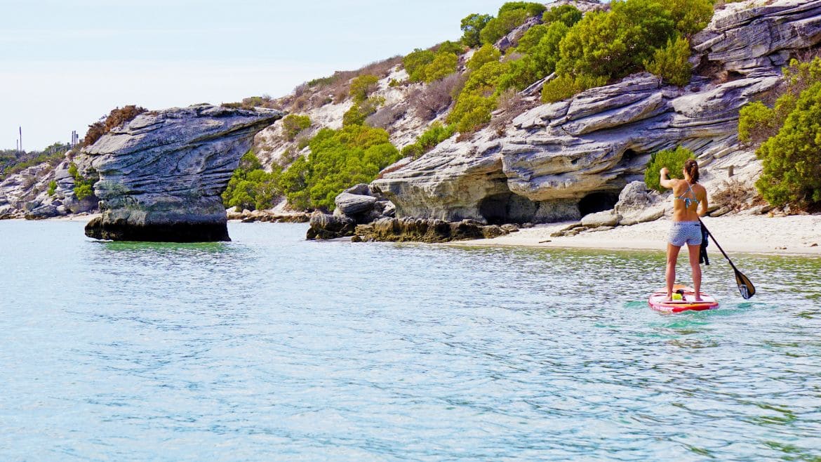 Langebaan: Entspannte SUP-Tour Langebaan: Entspannte SUP-Tour