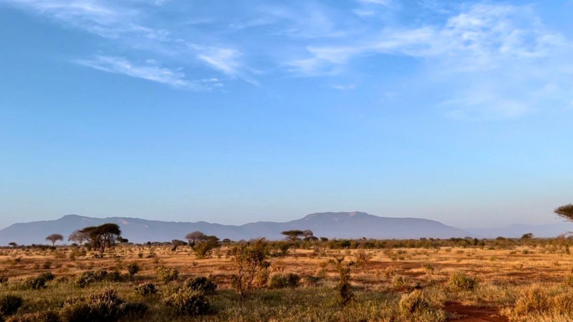 Kenia: Die fazinierende Wildnis Kenias Kenia: Die fazinierende Wildnis Kenias