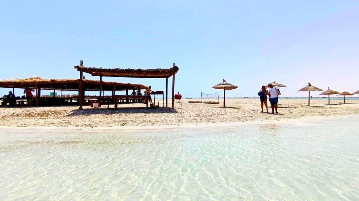Djerba-Zarzis: Flamingo Island