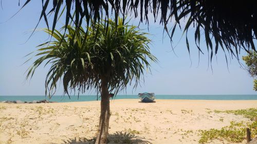 Kappalady: Für die Einreise nach Sri Lanka wird ein Visum benötigt Kappalady: Für die Einreise nach Sri Lanka wird ein Visum benötigt