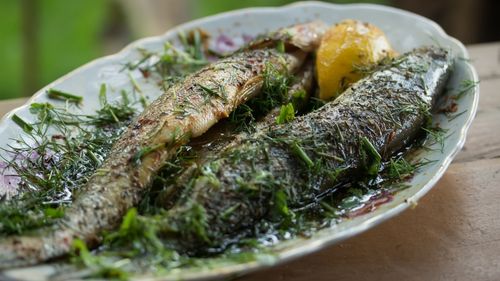 Montenegro: Frischer Fisch darf in Montenegro nicht fehlen