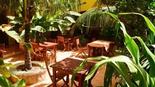 Boa Vista: Innenhof umgeben von wunderbaren Pflanzen Boa Vista: Innenhof umgeben von wunderbaren Pflanzen