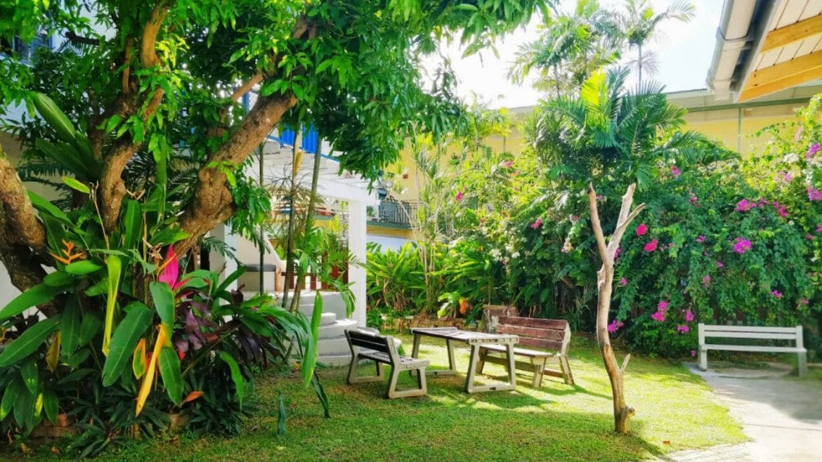 Tobago: Surf Studios