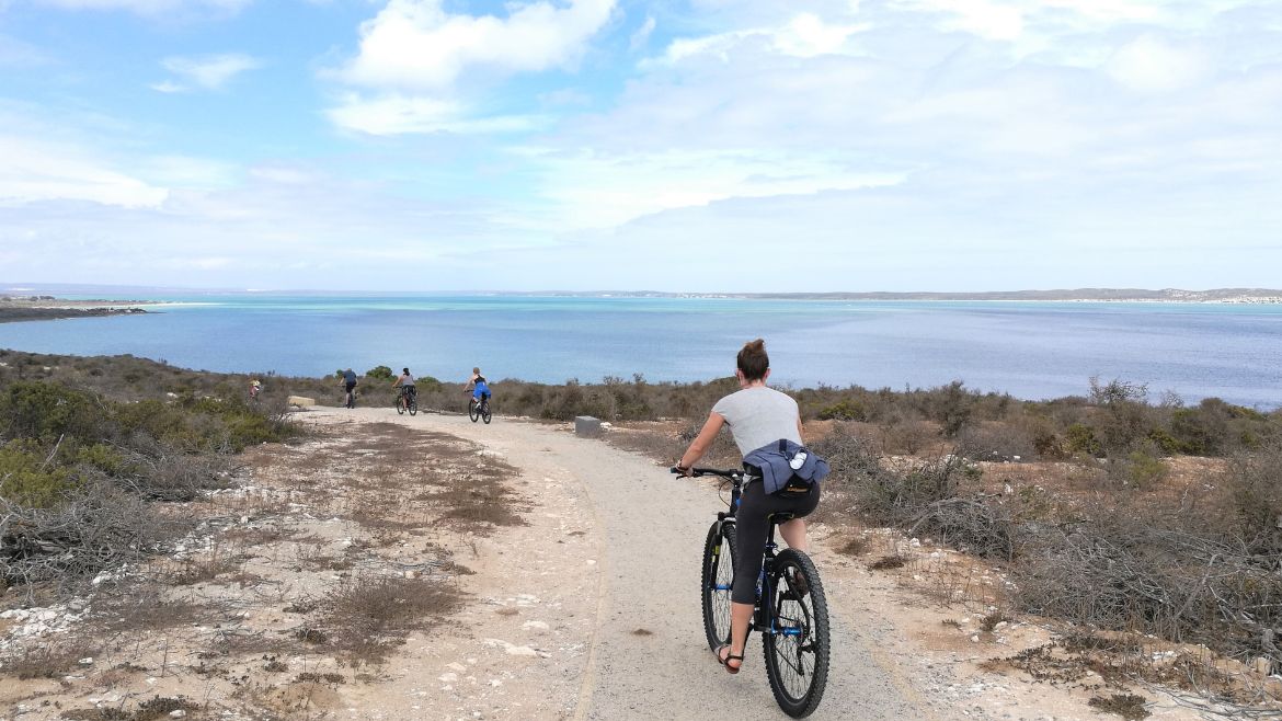 Langebaan: Genieße die Landschaft während einer Mountainbike Tour Langebaan: Genieße die Landschaft während einer Mountainbike Tour
