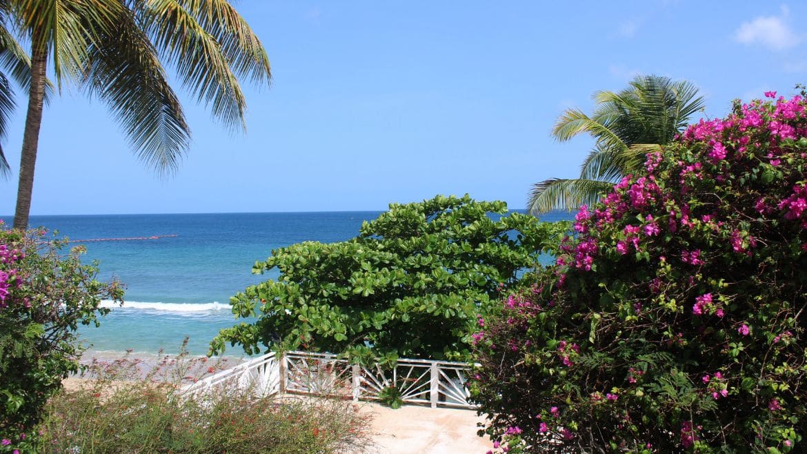 Tobago: Das Komforthotel II liegt an einer wunderbaren Bucht mit tollem Ausblick Tobago: Das Komforthotel II liegt an einer wunderbaren Bucht mit tollem Ausblick