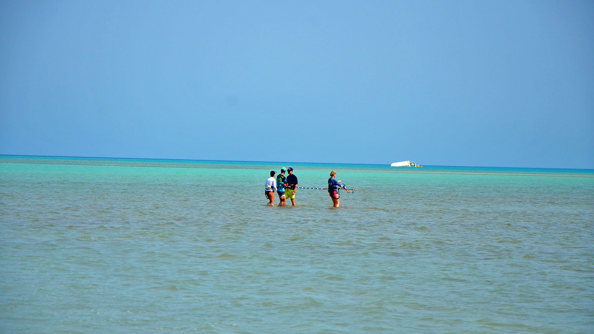 Hamata: Gruppenschulung an der Kitesurfstation Hamata: Gruppenschulung an der Kitesurfstation