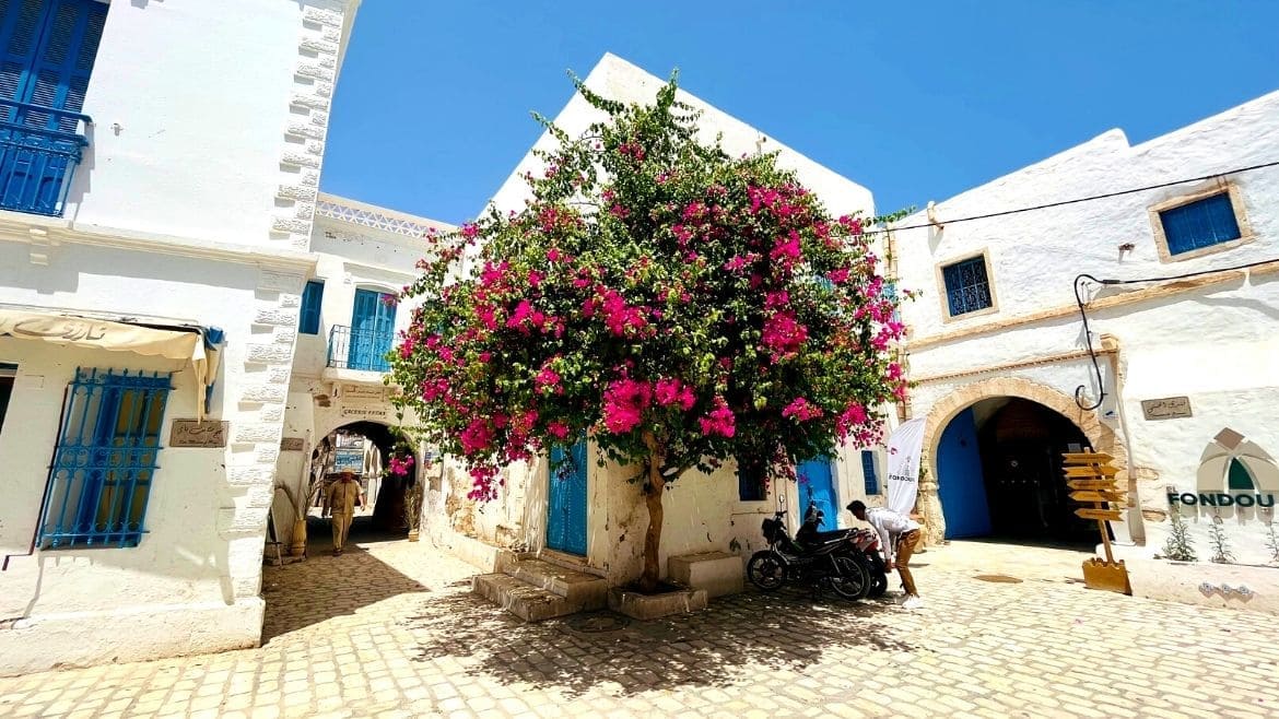 Djerba-Zarzis: Houmt Souk