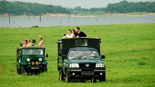Sri Lanka: Jeep Safari durch den Wilpattu Nationalpark Sri Lanka: Jeep Safari durch den Wilpattu Nationalpark