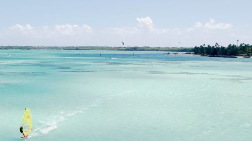 Tobago: Viel Platz für alle Tobago: Viel Platz für alle