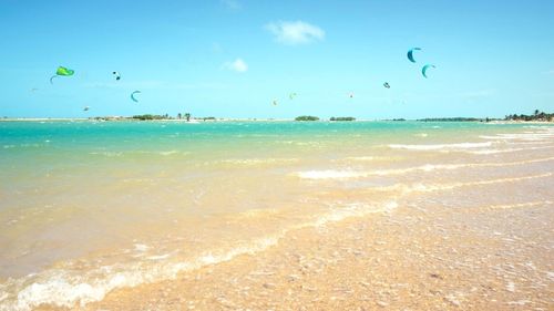 Ilha do Guajiru: Hier kommt sich keiner in die Quere