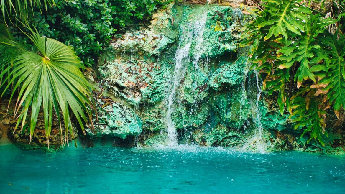 Tobago: Kleiner Wasserfall Tobago: Kleiner Wasserfall