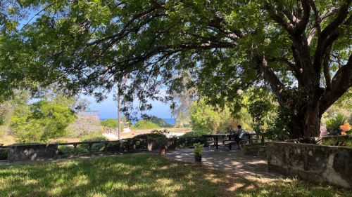 Kilifi: Gartenbereich mit Meerblick Kilifi: Gartenbereich mit Meerblick