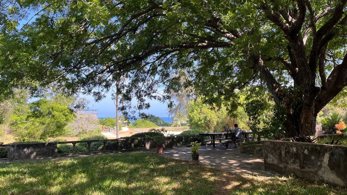 Kilifi: Meerblick vom oberen Gartenbereich Kilifi: Meerblick vom oberen Gartenbereich