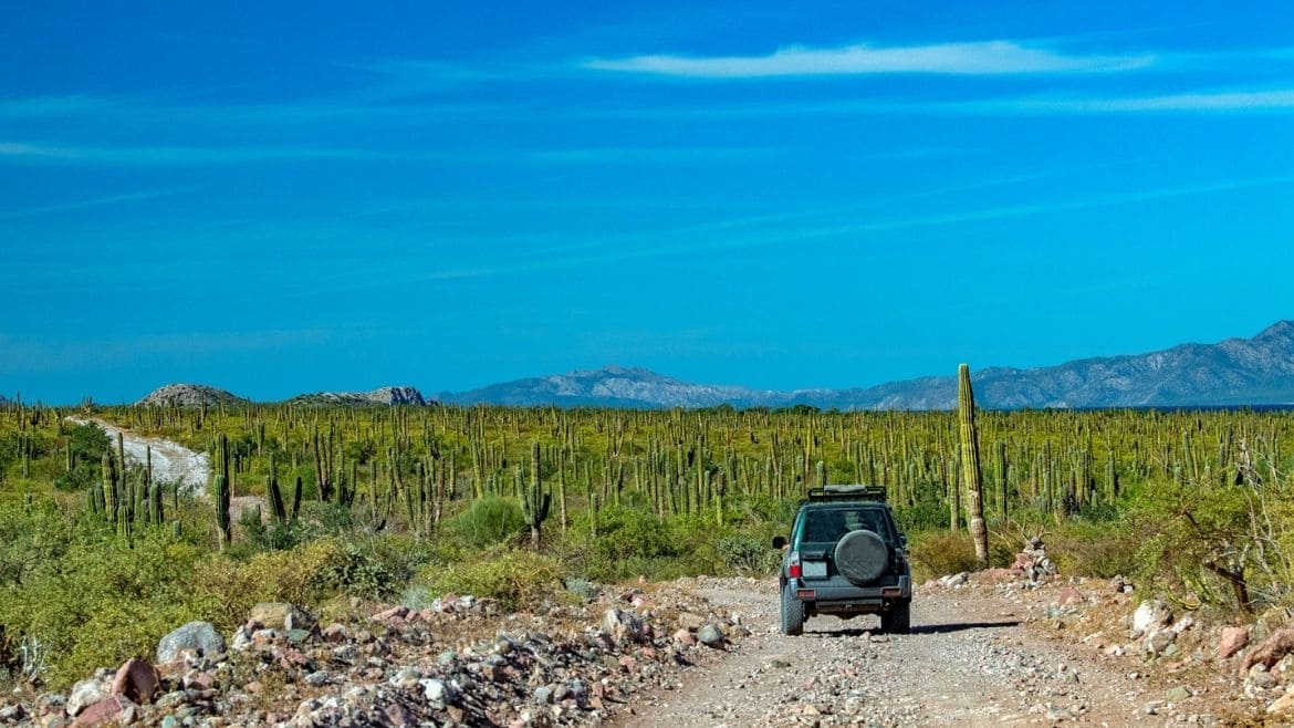 Mexiko: Mietwagentour Mexiko: Mietwagentour