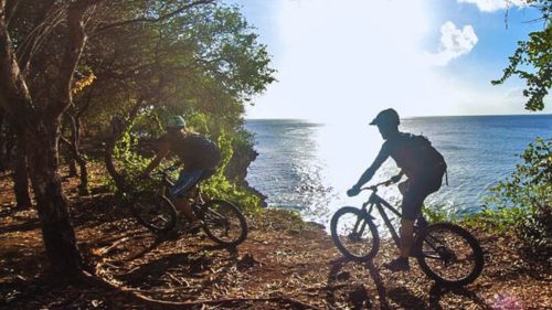 Tobago: Mountainbike-Tour