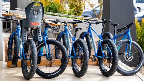 Langebaan: Mountainbike-Verleih 