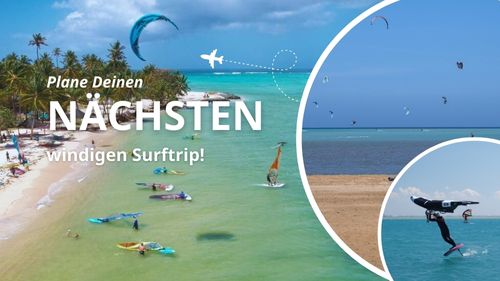 News: Newsletter Dezember 2024