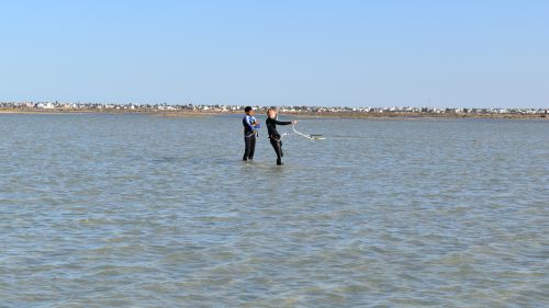 Zarzis: Optimales Schulungsrevier Zarzis: Optimales Schulungsrevier