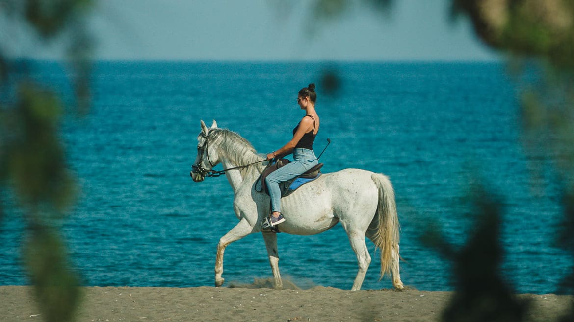 Rhodos Fanes: Reiten am Strand der Kitesurf Station Rhodos Fanes: Reiten am Strand der Kitesurf Station