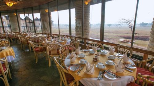 Kenia: Tierbeobachtungen während der Mahlzeiten