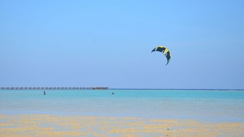 Kitesurfen lernen: Kiten lernen in Marsa Alam Kitesurfen lernen: Kiten lernen in Marsa Alam