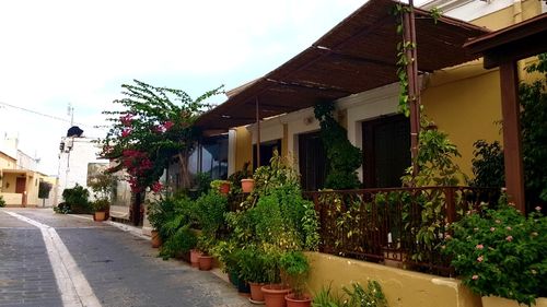 Rhodos Fanes: Bis in den Ort sind es nur ca. 10 Gehminuten