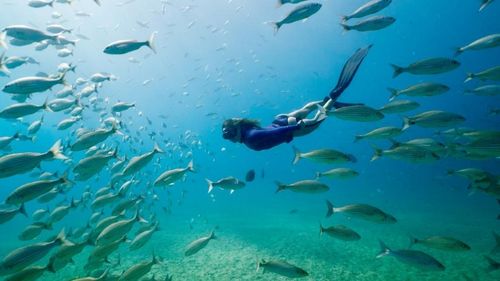 Mexiko: Schnorcheln Mexiko: Schnorcheln