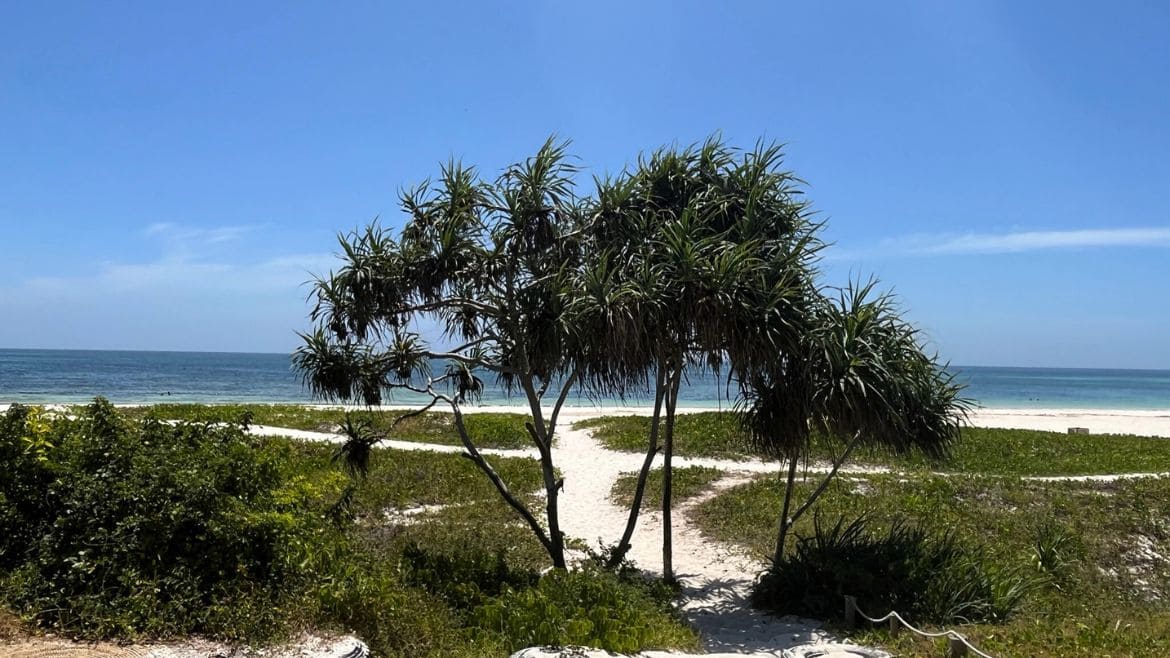 Kilifi: Strandbereich des Eco Surf Cottage Kilifi: Strandbereich des Eco Surf Cottage